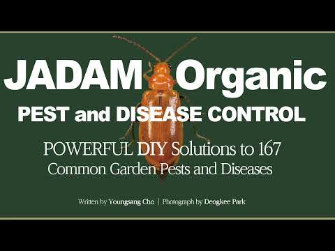 How to Make Water Irrigation System