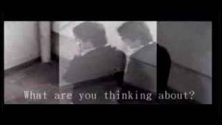 the Pliable - My fragile happiness (official music video)