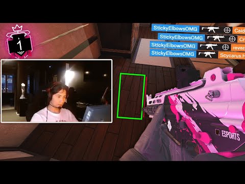 The #1 Champion Using Wallhacks On Stream...