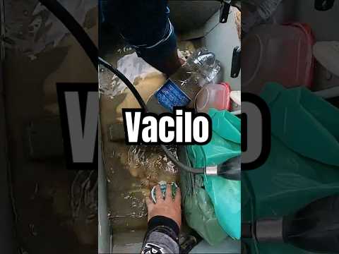 NUNCA COMETA ESSE VACILO #pescaria #rondonia #cacoal