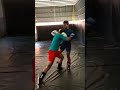 Trading blows, honing skills, and chasing dreams. The thrill of combat and the joy of progress.