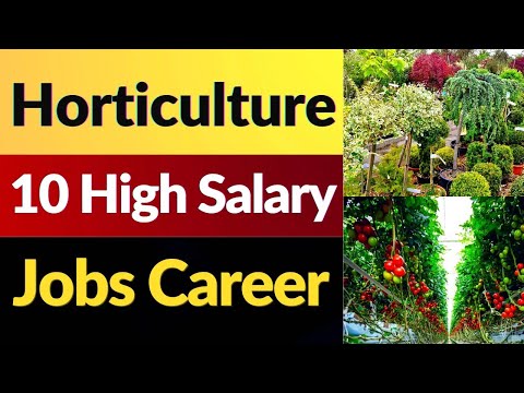 , title : 'Horticulture jobs  Salary I Horticulture careers I Horticulturist Salaries'