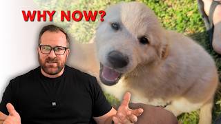 We Got a Puppy and I'm Not Ready to Talk About It