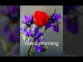 Good Good Wala Good Morning