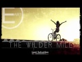Freedom Fry - The Wilder Mile (EigenARTig Remix ...