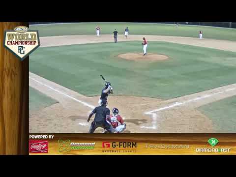 Francois Castillo (RHP, Reds Midwest Scout Team)