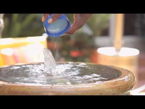 YouTube video about: How to keep fountain water clean for birds?