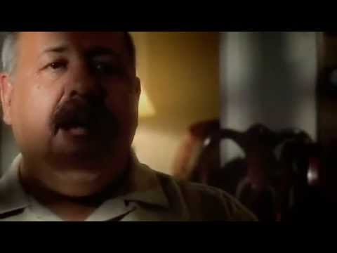 9/11: The Falling Man  (6/8)