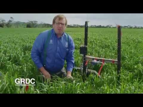 GCTV17: Slug Bait Timing - monitoring techniques