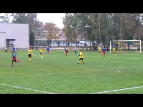 SEMP95 - PERŁA ZŁOTOKŁOS