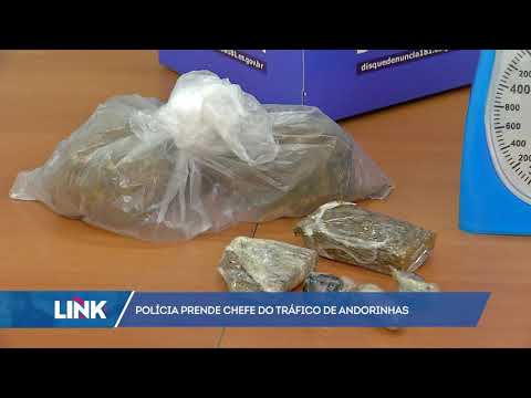Polícia prende chefe do tráfico de Andorinhas