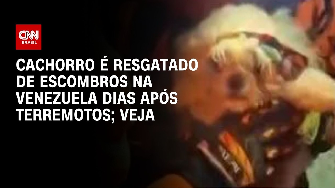 Vídeo: Cachorro é resgatado de escombros na Venezuela dias após terremotos | LIVE CNN