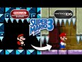 What If Super Mario Bros 3 Was A Nintendo DS Game