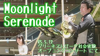 【ホルン】ムーンライトセレナーデ【ライブ演奏してみた】