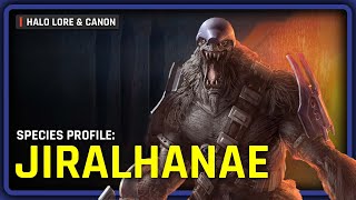 The Lore and History of the Jiralhanae | Halo Species Profile
