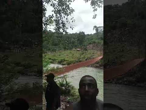 #INSÓLITO. Puente se desplomó durante su inauguración en Bagadó, Chocó.