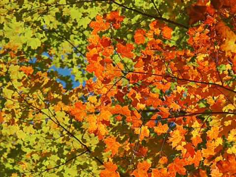 Through the kaleidoscope