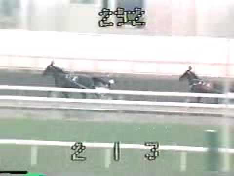 1984 Hambletonian - Historic Freight