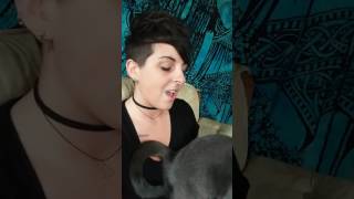 A case of you - James Wolpert (cover)