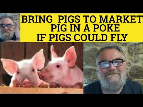 🔵 Bring Your Pigs to Market - Pig in a Poke - If Pigs Had Wings - Fat Pig - Bleed Like a Pig