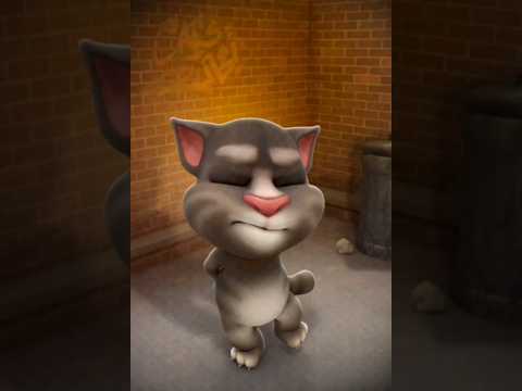 23 de março de 2025