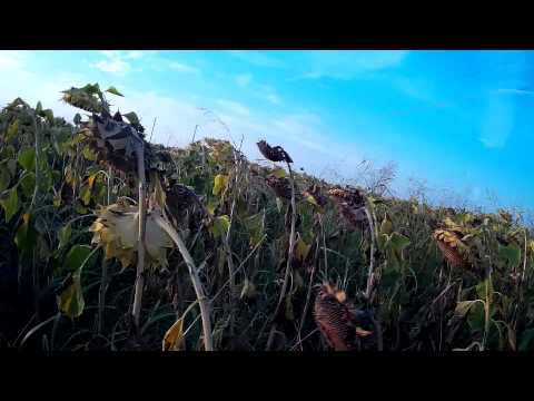 ЛОВ НА ГРИВЯК 5