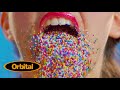 ORBITAL | TRANSIENT