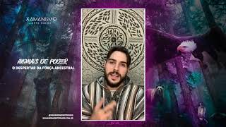 Animais de Poder - Xamanismo Sete Raios
