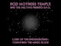 Acid Mothers Temple & The Melting Paraiso U F O   Eleking the