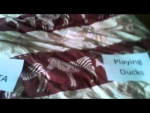 Emir's Bet - PENTA vs Playing Ducks