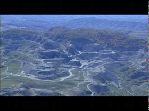 Electricity Fairy Trailer.mov