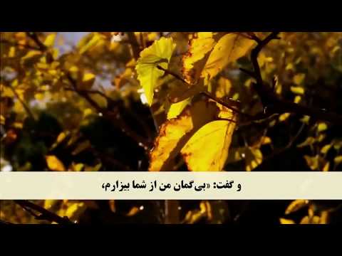 QURAN Farsi-Dari Translation - Juz 10 Complete