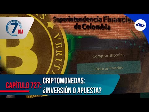 Criptomonedas: denuncias de engaños por parte de empresas que prometían rentabilidad - Séptimo Día
