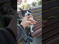 Psycho Tuxedo Cat Bites My Hand