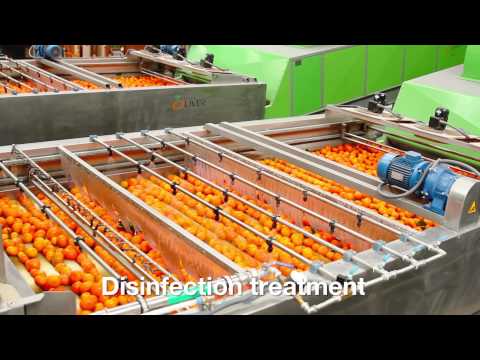 Decco Ibérica Company Video