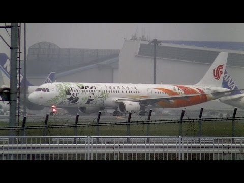 ✈雨の成田 “Beautiful Sichuan(秀美四川)” Air China A321 B-6365 takeoff @Narita Airport rwy34L(成田空港/中国国際航空)