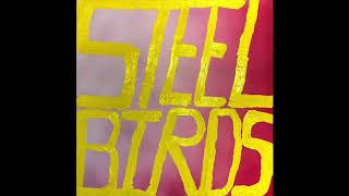 Steel Birds