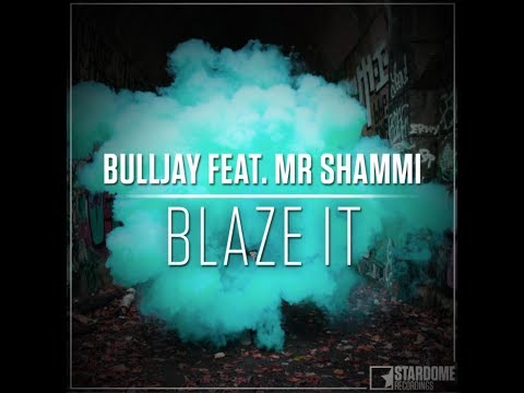 Bulljay - Blaze it (feat. Mr. Shammi) *TEASER*