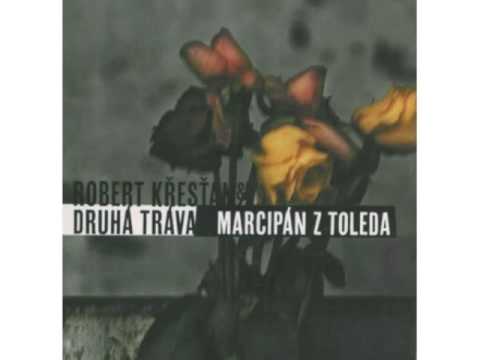 Robert Křesťan -  Blázni a toulaví psi