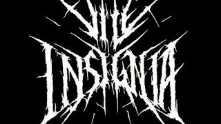 VILE INSIGNIA - Beneath the Frozen Soil - SlimBzTV - (Head Phone Friendly)