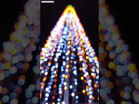 #hashtag #hashtags #hashtaghashtag49.7K#merrychristmas#merrychristmas # #