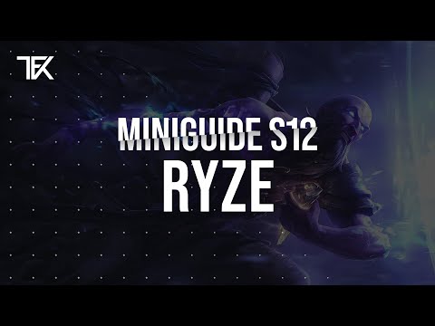 Ryze Miniguide S12 german | TFK