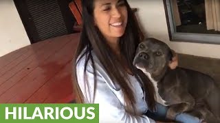 Jealous pit bull won't let man get near his girlfriend