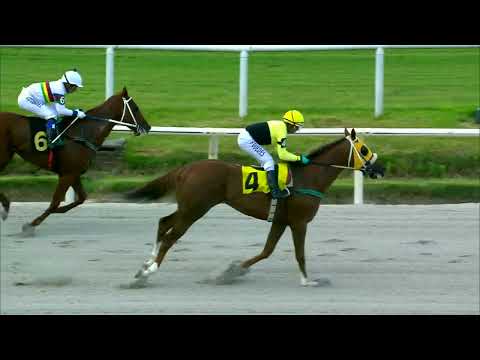 221223 c06 MONT BLANC (BRZ)