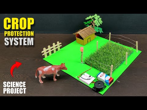 Crop Protection System|| Smart Farming Systems|| Laser Security System || Science Working Project 