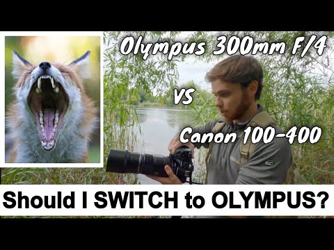 Olympus E-M1X vs Canon 7D MK ii For Wildlife Photography || First Impressions & SHOULD I SWITCH?