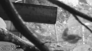 Deaf Center - Stone Beacon