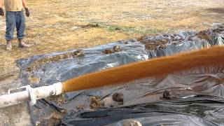 Monroe #02 3v We Hit