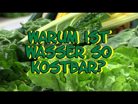 Mit Bio cool drauf ! Sendung (5) Warum ist Wasser so kostbar?