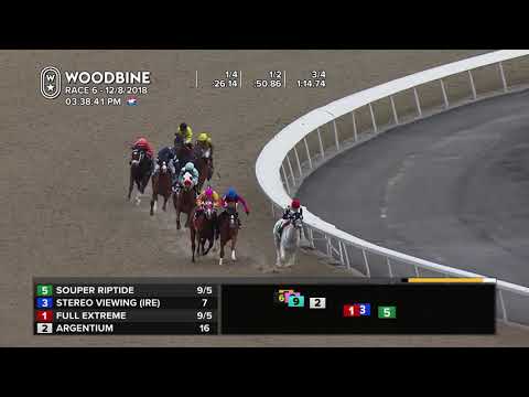 Woodbine, December 8, 2018 - Race 6